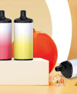 Pod ISNACK 12000 puff